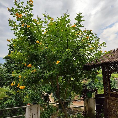 רישיקש Nature Villa מראה חיצוני תמונה