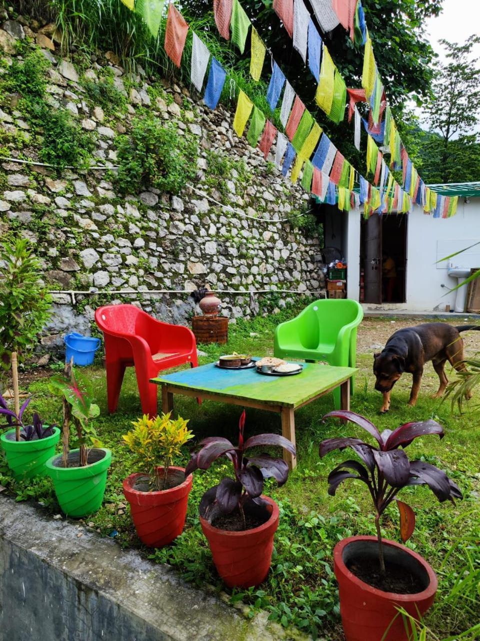 רישיקש Nature Villa מראה חיצוני תמונה