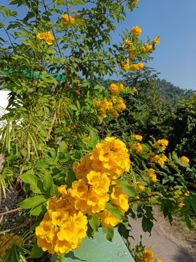 רישיקש Nature Villa מראה חיצוני תמונה